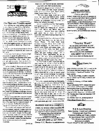 The Wewa News — Volume 1, Issue 8, Page 4