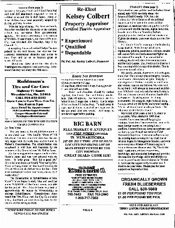 The Wewa News — Volume 1, Issue 9, Page 4