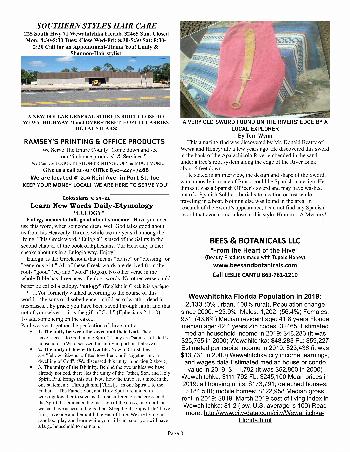 The Wewa News — Volume 3, Issue 4, Page 8