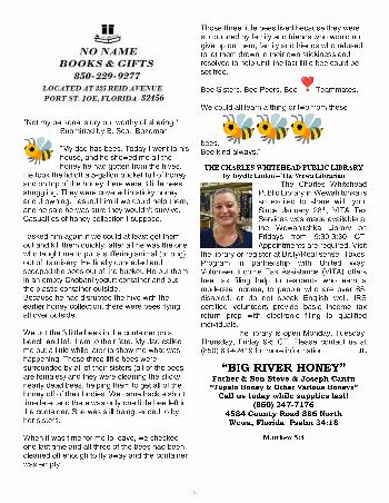 The Wewa News — Volume 4, Issue 2, Page 8