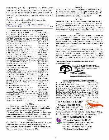 The Wewa News — Volume 4, Issue 7, Page 16