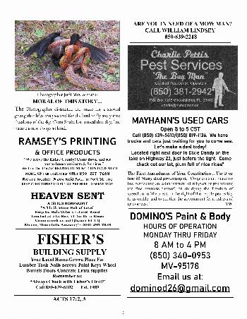 The Wewa News — Volume 4, Issue 11, Page 3
