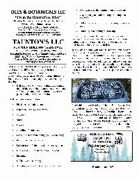 The Wewa News — Volume 4, Issue 12, Page 11