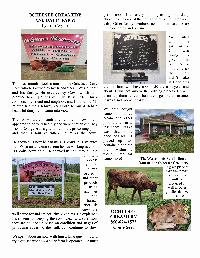 The Wewa News — Volume 5, Issue 4, Page 11