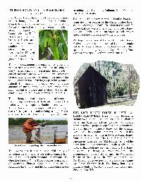 The Wewa News — Volume 5, Issue 5, Page 7