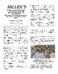 The Wewa News — Volume 5, Issue 6, Page 10