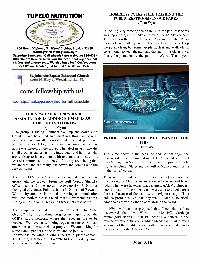 The Wewa News — Volume 5, Issue 8, Page 5