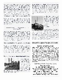 The Wewa News — Volume 5, Issue 10, Page 3