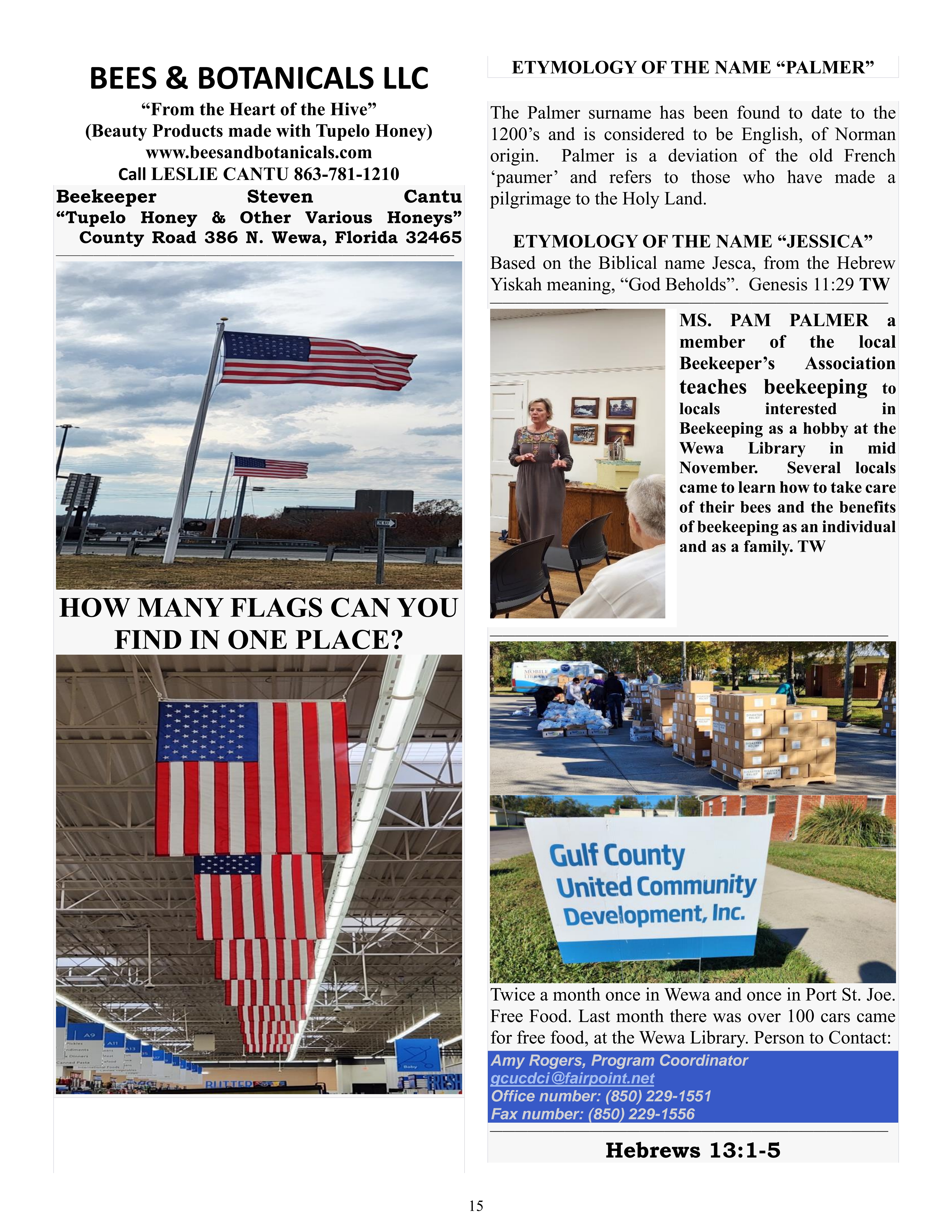 The Wewa News — Volume 5, Issue 12, Page 15