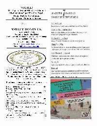 The Wewa News — Volume 6, Issue 5, Page 11