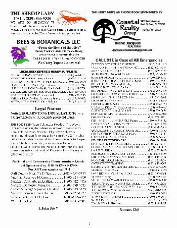 The Wewa News — Volume 4, Issue 4, Page 12