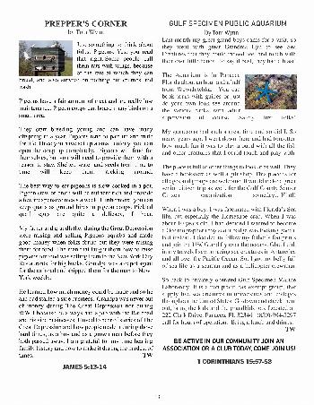 The Wewa News — Volume 4, Issue 9, Page 13