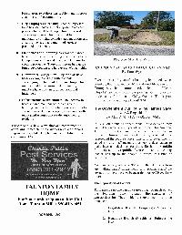 The Wewa News &mdash; Volume 6, Issue 4, Page 8