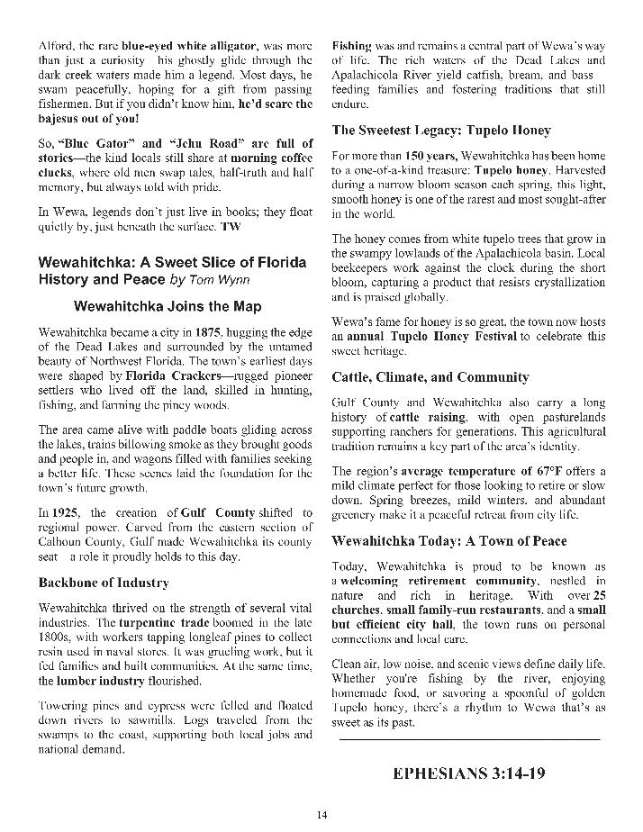 The Wewa News — Volume 7, Issue 3, Page 14