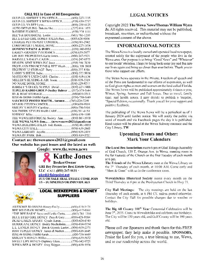 The Wewa News — Volume 7, Issue 3, Page 16