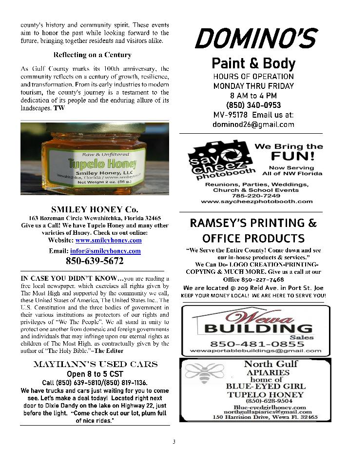 The Wewa News — Volume 7, Issue 4, Page 3