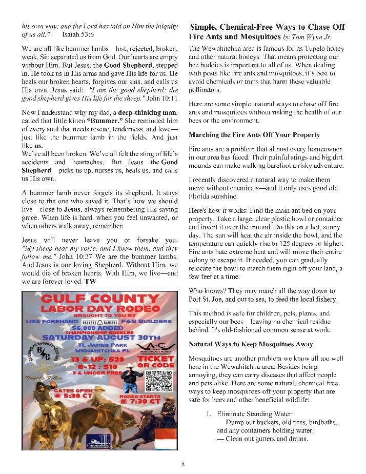The Wewa News — Volume 7, Issue 4, Page 8