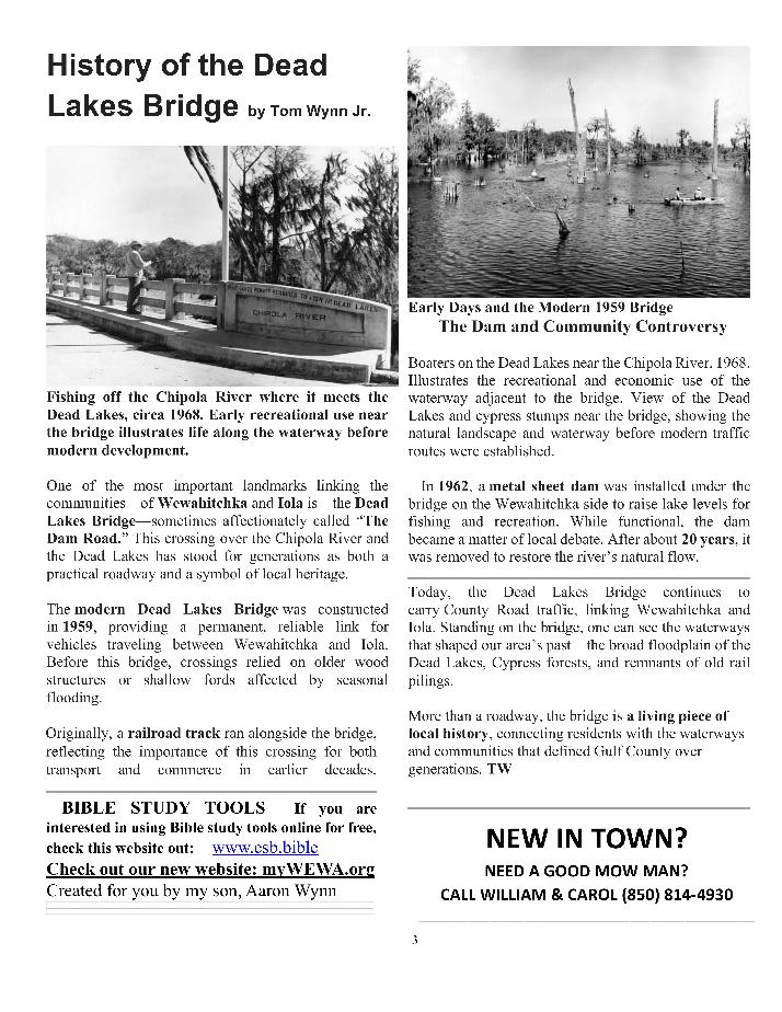 The Wewa News &mdash; Volume 8, Issue 1, Page 3