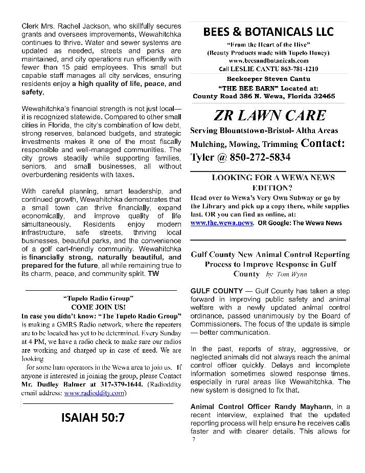 The Wewa News &mdash; Volume 8, Issue 2, Page 7