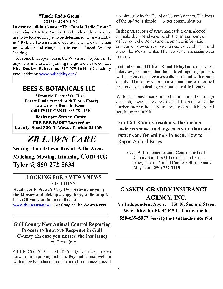 The Wewa News &mdash; Volume 8, Issue 3, Page 8
