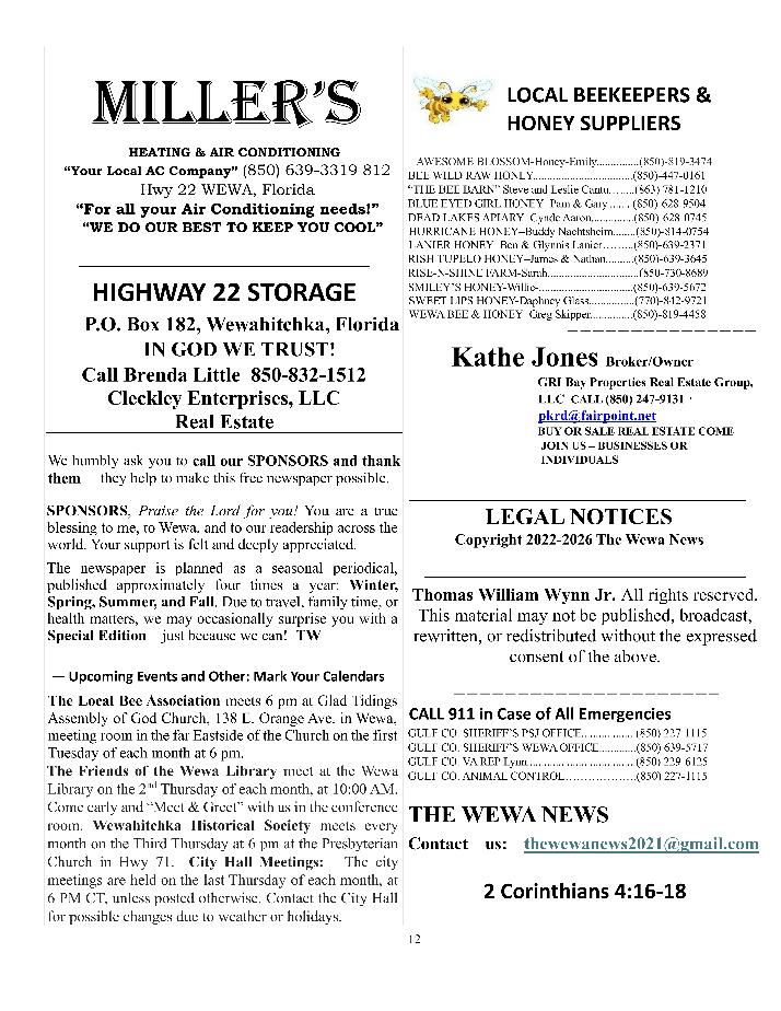 The Wewa News &mdash; Volume 8, Issue 3, Page 12